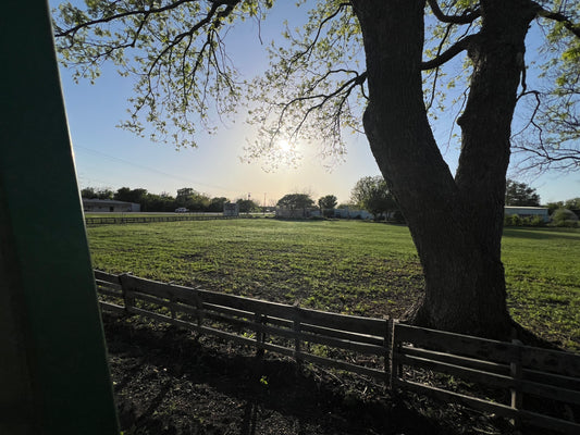 Event Location Rental