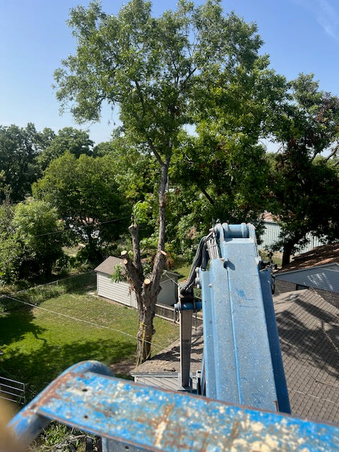 85 foot Texas Pecan removal with 70 foot boom aerial platform completion time 1 day no limb drop tight quarters area traversed with power and telecommunication lines