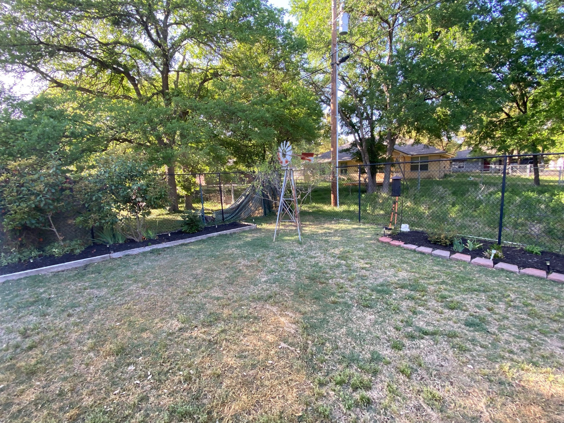 Backyard with grass, trees, and a windmill on a sunny day. Neighbor houses in plain view. before pic