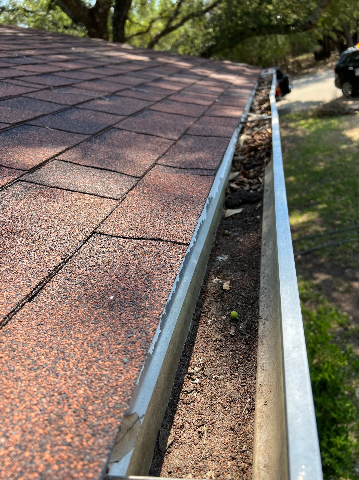 Gutter on a roof with debris and dirt accumulation