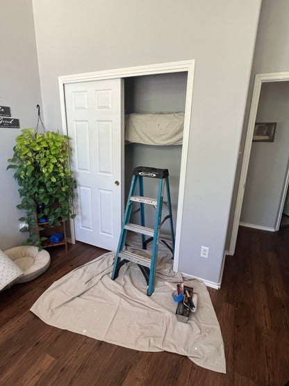 Closet with short ladder and drop cloths inside it, inside a room with a wooden floor and a plant.