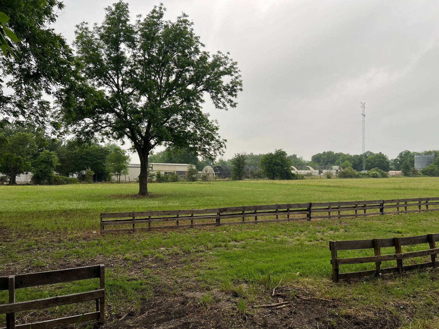A partially shaded open field with a tree, a fence in the foreground, and a clear sky above.