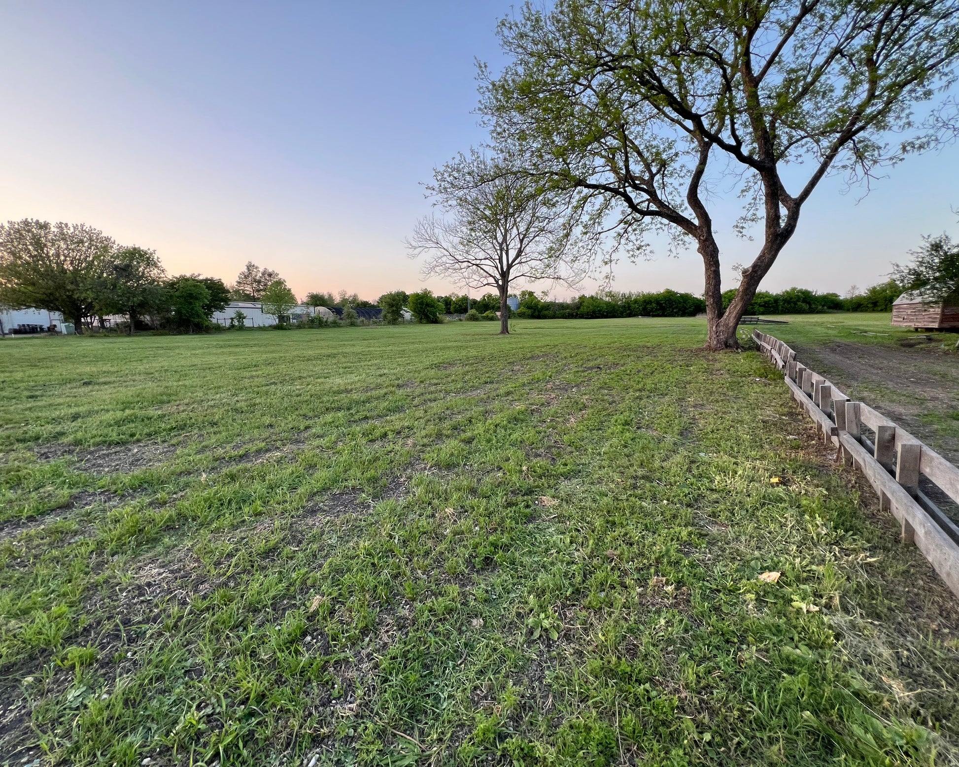 Grassy field with two trees and a fence in the foreground, under a clear sky.